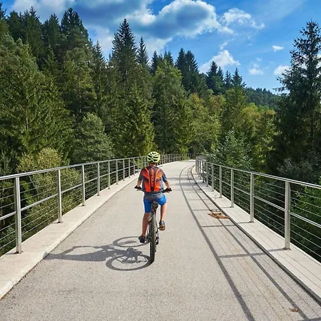 Apartment Apartma Knap *